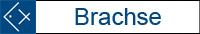 Brachse
